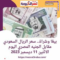 سعر الريال السعودي أمام الجنيه المصري بكورة اليوم الاثنين 11 ديسمبر 2023