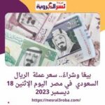 بيعًا وشراءً.. سعر عملة الريال السعودي في مصر اليوم الإثنين 18 ديسمبر 2023
