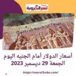  أسعار الدولار أمام الجنيه اليوم الجمعة 29 ديسمبر 2023..في البنوك المصرية