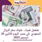 هتعمل عُمرة.. شوف سعر الريال السعودي في مصر اليوم الاثنين 25 ديسمبر 2023
