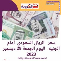 سعر صرف الريال السعودي أمام الجنيه بكورة اليوم الجمعة 29 ديسمبر 2023