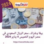 بيعًا وشراءً.. سعر الريال السعودي في مصر اليوم الخميس 4 يناير 2024