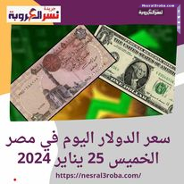 سعر الدولار اليوم في مصر الخميس 25 يناير 2024.. واسعار الذهب