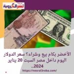 الأخضر بكام بيع وشراء؟ سعر الدولار اليوم داخل مصر السبت 20 يناير 2024..