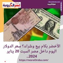 الأخضر بكام بيع وشراء؟ سعر الدولار اليوم داخل مصر السبت 20 يناير 2024..