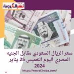 سعر الريال السعودي مقابل الجنيه المصري اليوم الخميس 25 يناير 2024