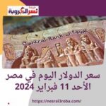 سعر الدولار اليوم في مصر الأحد 11 فبراير 2024.. في البنوك والصرافات