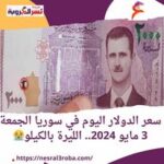 سعر الدولار اليوم في سوريا الجمعة 3 مايو 2024..خلال التداول