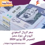 سعر الريال السعودي اليوم داخل بنوك مصر الخميس 20 يونيو 2024