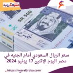 سعر الريال السعودي أمام الجنيه في مصر اليوم الإثنين 17 يونيو 2024