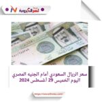 سعر الريال السعودي أمام الجنيه المصري اليوم الخميس 29 أغسطس 2024