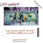 سعر الدولار الأمريكى اليوم في سوريا الأحد 1 سبتمبر 2024.