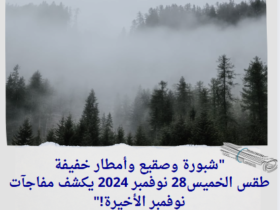 "شبورة وصقيع وأمطار خفيفة.. طقس الخميس28 نوفمبر 2024 يكشف مفاجآت نوفمبر الأخيرة!"