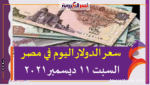 سعر الدولار اليوم في مصر السبت 11 ديسمبر 2021 خلال التعاملات