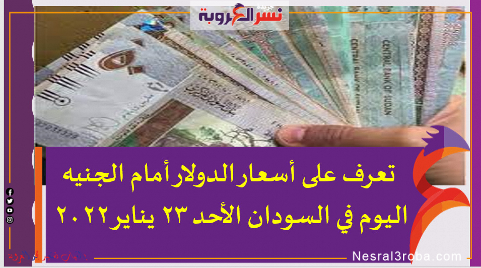 سعر الدولار اليوم في السودان الأحد 23 يناير 2022