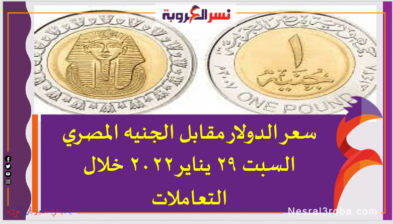 سعر الدولار اليوم في مصر السبت 29 يناير 2022