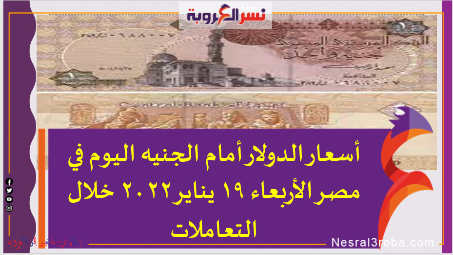 أسعار الدولار أمام الجنيه اليوم في مصر الأربعاء 19 يناير 2022 خلال التعاملات