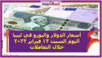 أسعار الدولار واليورو في ليبيا اليوم السبت 12 فبراير 2022 خلال التعاملات