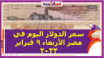 سعر الدولار اليوم في مصر الأربعاء 9 فبراير 2022 خلال التعاملات