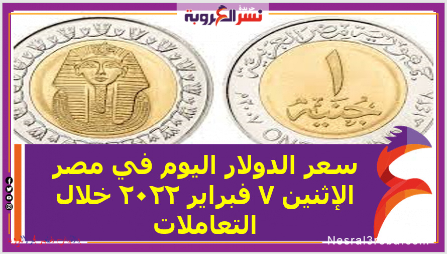 سعر الدولار اليوم في مصر الإثنين 7 فبراير 2022 خلال التعاملات