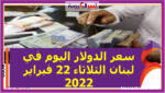 سعر الدولار اليوم في لبنان الثلاثاء 22 فبراير 2022 خلال التعاملات