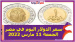 سعر الدولار اليوم في مصر الجمعة 11 مارس 2022 خلال التعاملات