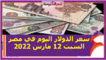 وسجل متوسط سعر الدولار الأمريكى مقابل الجنيه المصري خلال التعاملات في مصر ، وفق بيانات البنك المركزي المصري، نحو 15.66 جنيه للشراء، و 15.75 جنيه للبيع.