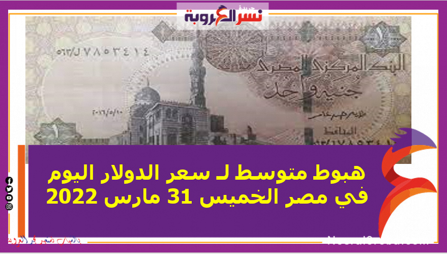 هبوط متوسط لـ سعر الدولار اليوم في مصر الخميس 31 مارس 2022