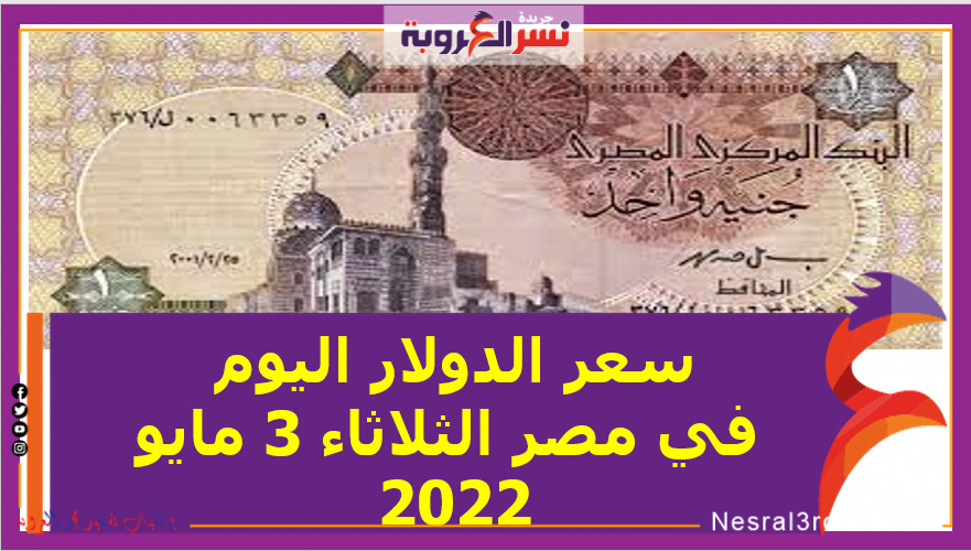 سعر الدولار اليوم في مصر الثلاثاء 3 مايو 2022..خلال التعاملات