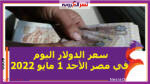 سعر الدولار اليوم في مصر الأحد 1 مايو 2022.. خلال التعاملات