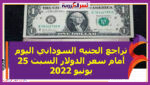 تراجع الجنيه السوداني اليوم أمام سعر الدولار السبت 25 يونيو 2022