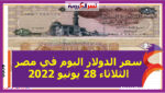 سعر الدولار اليوم في مصر الثلاثاء 28 يونيو 2022.. خلال التعاملات