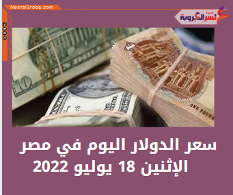سعر الدولار اليوم في مصر الإثنين 18 يوليو 2022.. لدى البنوك