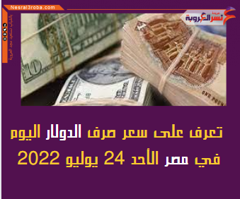 سعر صرف الدولار اليوم في مصر الأحد 24 يوليو 2022
