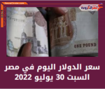 سعر الدولار اليوم في مصر السبت 30 يوليو 2022.. لدى البنوك