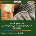 الدولار الآن بالبنوك في مصر مقابل الجنيه الاثنين 29 /8/2022