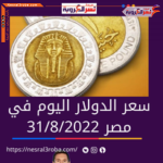سعر الدولار اليوم في مصر الأربعاء 31 أغسطس 2022.. لدى البنك المركزى المصري