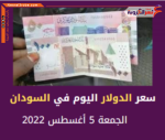 سعر الدولار اليوم في السودان الجمعة 5 أغسطس 2022.. لدى البنوك و السوق الموازية