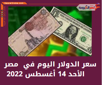 سعر الدولار اليوم في مصر الأحد 14 أغسطس 2022..خلال التعاملات