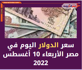 سعر الدولار اليوم في مصر الأربعاء 10 أغسطس 2022.. لدى البنوك الحكومية والخاصة.