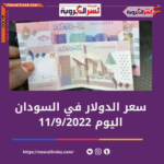 سعر الدولار اليوم في السودان الأحد 11 سبتمبر 2022.. بالسوق الموازية
