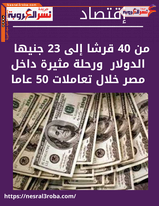 من 40 قرشا إلى 23 جنيها لـ الدولار .. ورحلة مثيرة في مصر خلال تعاملات 50 عاما