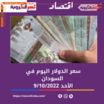 سعر الدولار اليوم في السودان الأحد 9 أكتوبر 2022.. داخل البنوك التجارية