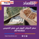 سعر الدولار اليوم في مصر الخميس 20 أكتوبر 2022.. داخل البنوك