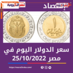 سعر الدولار اليوم في مصر الثلاثاء 25 أكتوبر 2022.. داخل البنك المركزي