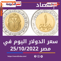 سعر الدولار اليوم في مصر الثلاثاء 25 أكتوبر 2022.. داخل البنك المركزي