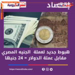هبوط جديد لعملة الجنيه المصري مقابل عملة الدولار = 24 جنيها