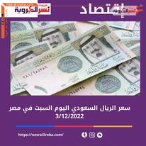 سعر الريال السعودي واليورو اليوم في مصر السبت 3 ديسمبر 2022..