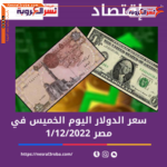 سعر الدولار اليوم في مصر الخميس 1 ديسمبر 2022.. لدى البنك المركزي المصرى