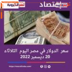 سعر الدولار اليوم في مصر الثلاثاء 20 ديسمبر 2022.. أرتفاع 3 قروش